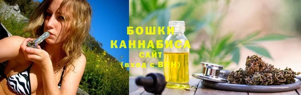 прущие грибы Абаза