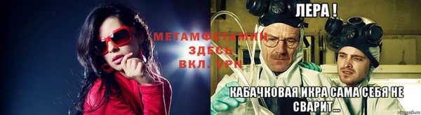 прущие грибы Абаза
