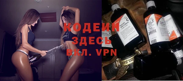 прущие грибы Абаза