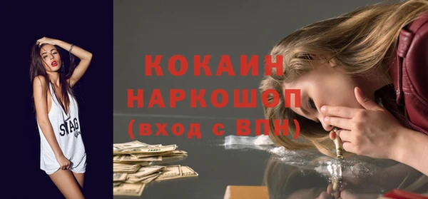прущие грибы Абинск