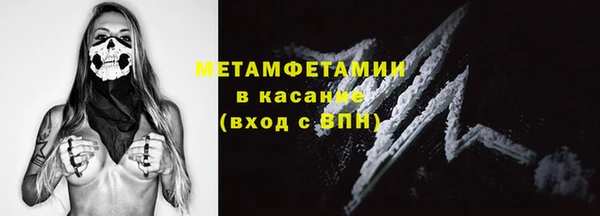 прущие грибы Абаза