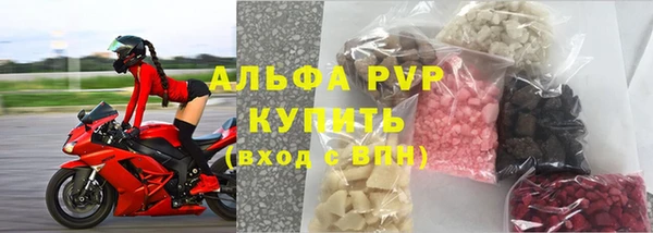 прущие грибы Абаза