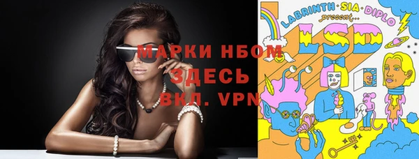 PSILOCYBIN Алзамай